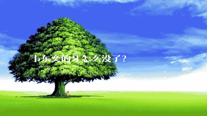 韦东奕的牙怎么没了？