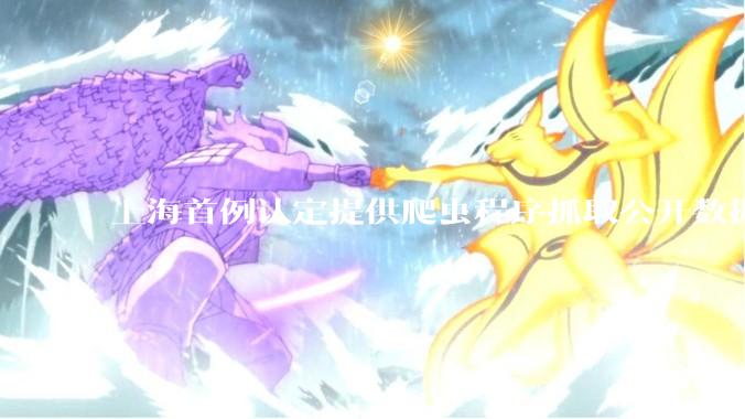 上海首例认定提供爬虫程序抓取公开数据构成提供侵入计算机信息系统程序罪案，该案件有哪些细节值得关注？