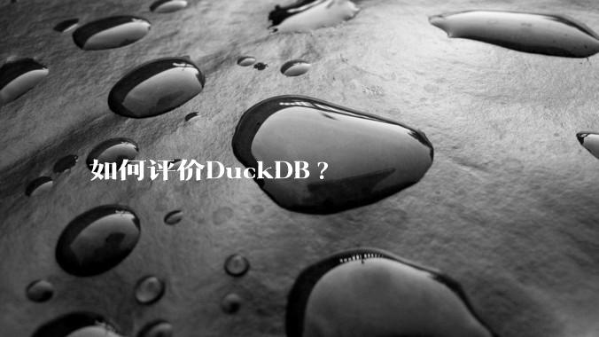 如何评价DuckDB?