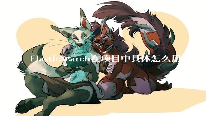 ElasticSearch在项目中具体怎么用？