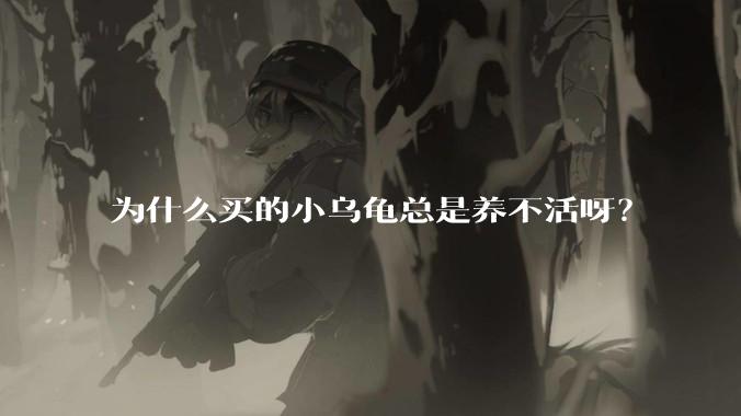 为什么买的小乌龟总是养不活呀？