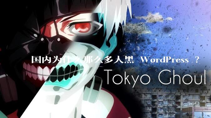 国内为什么那么多人黑 WordPress ？