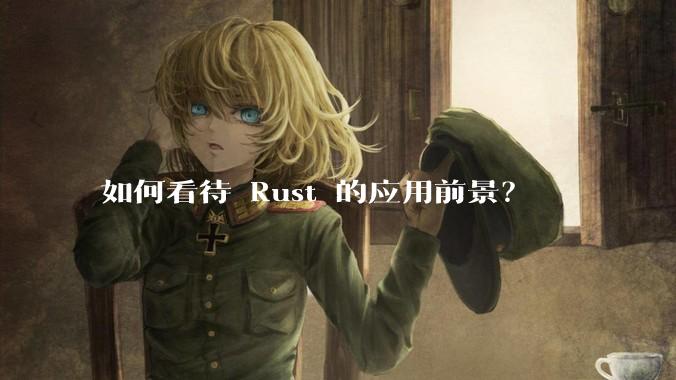 如何看待 Rust 的应用前景？