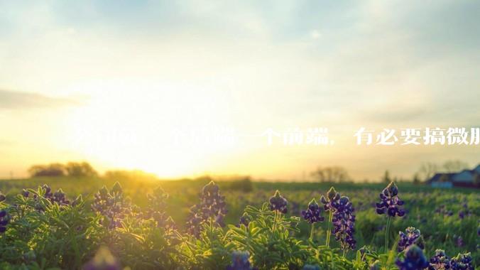 公司就一个后端一个前端，有必要搞微服务吗？