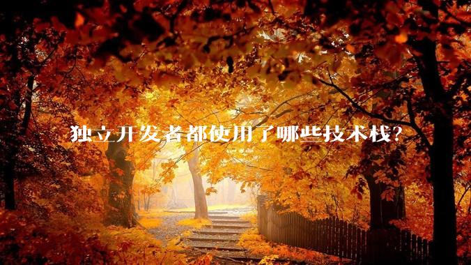 独立开发者都使用了哪些技术栈？