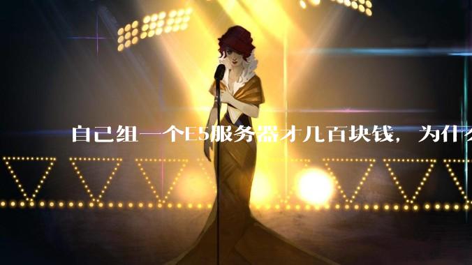 自己组一个E5服务器才几百块钱，为什么去阿里云租这么贵?