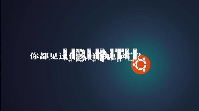 你都见过什么样的电脑盲？