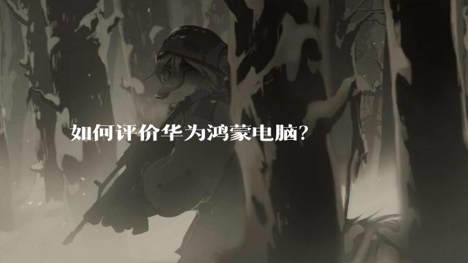 如何评价华为鸿蒙电脑？