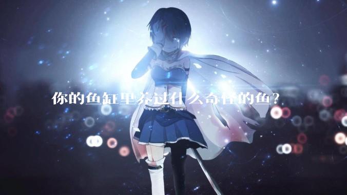 你的鱼缸里养过什么奇怪的鱼？
