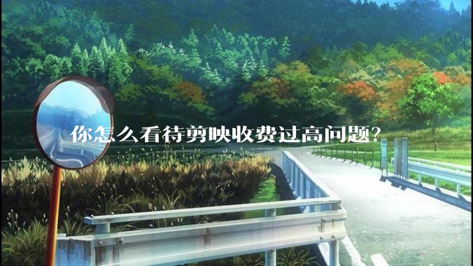 你怎么看待剪映收费过高问题？