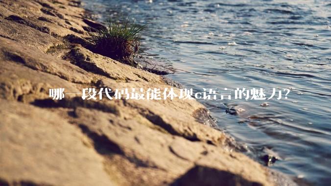哪一段代码最能体现c语言的魅力?