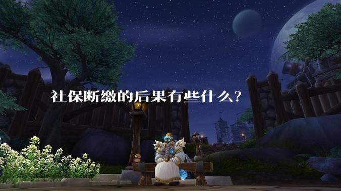 社保断缴的后果有些什么？