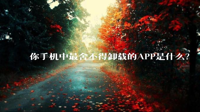 你手机中最舍不得卸载的APP是什么？