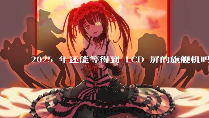 2025 年还能等得到 LCD 屏的旗舰机吗？