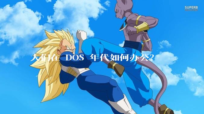 人们在 DOS 年代如何办公？